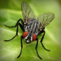 /album/arte-y-literatura/photolia-a01-jpg/