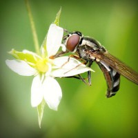 /album/arte-y-literatura/photolia-a02-jpg/