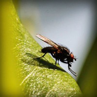 /album/arte-y-literatura/photolia-a04-jpg/