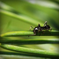 /album/arte-y-literatura/photolia-a05-jpg/