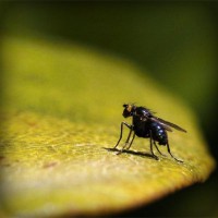 /album/arte-y-literatura/photolia-a07-jpg/