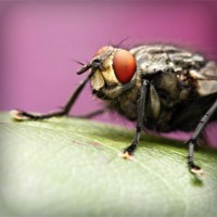 /album/arte-y-literatura/photolia-a08-jpg/